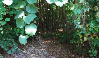 Lot 5 Neffwood LN, Bella Vista, AR 72715