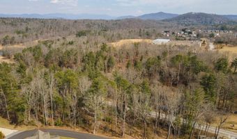 Ball Gap Road, Arden, NC 28704