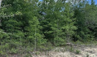 NW Lakeside Avenue, Altha, FL 32421