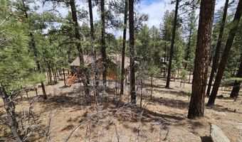 15 County Road 2065, Alpine, AZ 85920