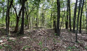 County Road 544, Bakersfield, MO 65609