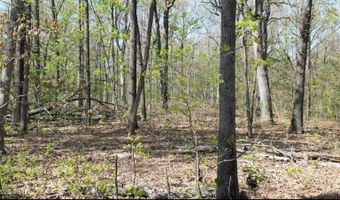 000 S Plainview, Anderson, MO 64831