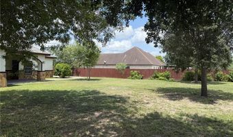 1431 Vida Grande St, Alamo, TX 78516