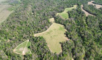 378 County Road 1219, Bardwell, KY 42023
