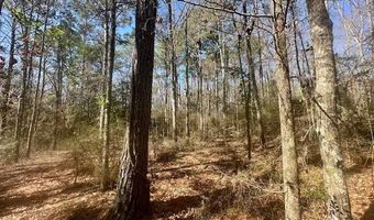 0 Tervin Mill Rd, Andalusia, AL 36421
