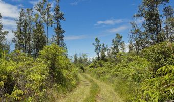 16-1660 39TH Ave, Keaau, HI 96749