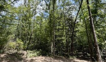 SE Lee Drive, Bogue Chitto, MS 39629