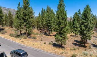 234 Redding Way, Carson City, NV 89705