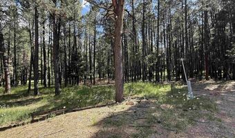 Lot 940 White Sands Circle, Angel Fire, NM 87710