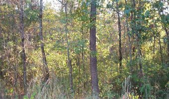 0 SARDIS Rd 1, Ashland, AL 36251