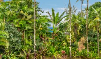 5410 WEKE Rd, Hanalei, HI 96714