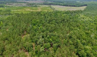 Fox Paw Court, Branchville, SC 29432