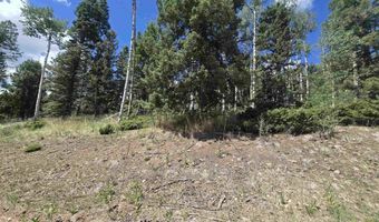 Plesant Valley lot 1302, Angel Fire, NM 87710