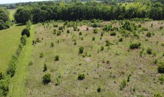 Green Road, Arnaudville, LA 70512
