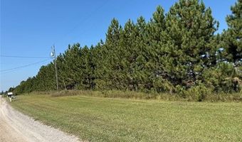 12790 Behning Rd, Alpena, MI 49766