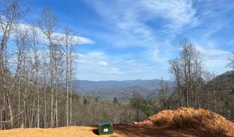 44 Bee Gum Rdg Lot 44, Almond, NC 28702