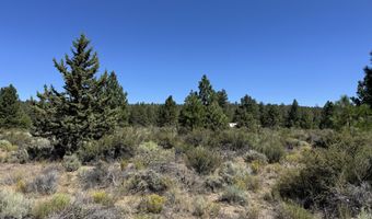 Bufflehead Drive 18, Bonanza, OR 97623