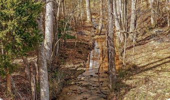 1603 Coon Hunt Rd, Baxter, TN 38544