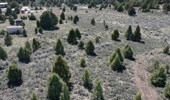 4129 N Uintah Dr, Alton, UT 84710