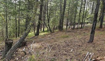 59 Price Loop, Cascade, ID 83611