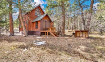 251 Haugen Slide Rd, Allenspark, CO 80510