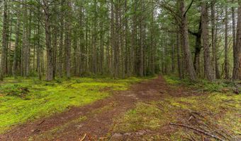 Upper Cow Creek Road, Azalea, OR 97410