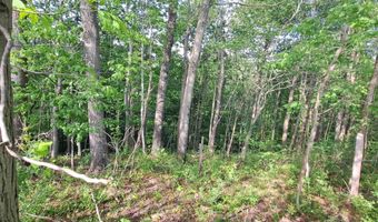 Hudson Mill Road, Albright, WV 26519