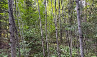 County Road Y, Aniwa, WI 54408
