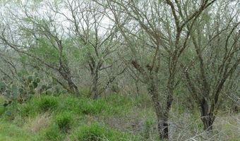 1956 Fm 1554, Alice, TX 78332
