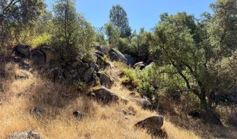41902 Woodward Way, Ahwahnee, CA 93601