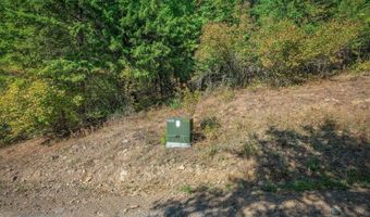 NKA Silver Creek Road, Clark Fork, ID 83811