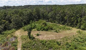 Ebenezer Church Road, Bassfield, MS 39421