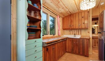 256 Fisk Fenner Rd, Allenspark, CO 80510