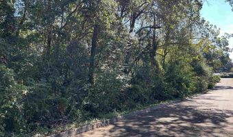 Berman St lot 11 1/2 & 12, Andalusia, AL 36421