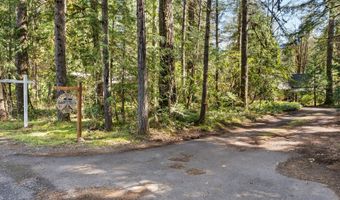 55450 MCKENZIE RIVER Dr, Blue River, OR 97413