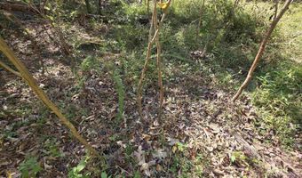 3013-3015 Possum Trot Rd, Ash Flat, AR 72513