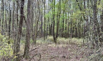 1 Bowman Branch Hwy, Bowman, SC 29018