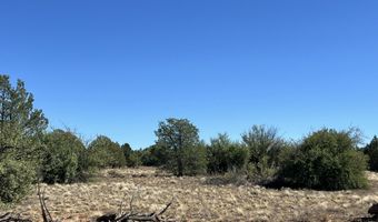 9 A Off Ranch Rd, Ash Fork, AZ 86320