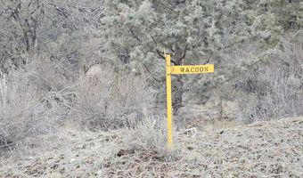 34008 Raccoon Ln, Bonanza, OR 97623
