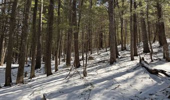Hodgdon Road, Alexandria, NH 03222