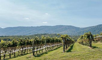 291 SADDLEBACK FARM, Afton, VA 22920