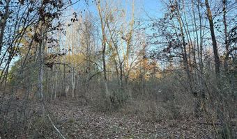 9 21 Acres Lee St And Elberton St, Calhoun Falls, SC 29628