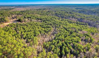 5483 Tubman Rd, Appling, GA 30802