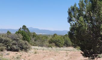 Ranch And Cattle lot 13, Ash Fork, AZ 86320