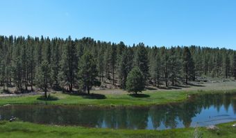 29951 Oregon Pnes, Beatty, OR 97621