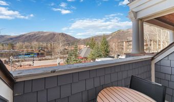 415 E Dean St. Unit 16 Week 9, Aspen, CO 81611
