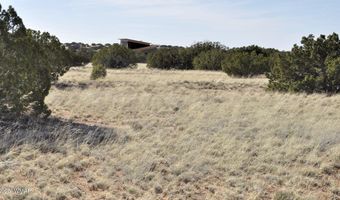 12 County Rd N8543, Concho, AZ 85924