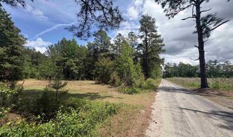452 Tram Rd, Cades, SC 29518