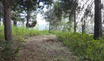 PINE Street lot 4, Alpine, WY 83128