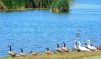 806 Deer Crk, Aguanga, CA 92536
